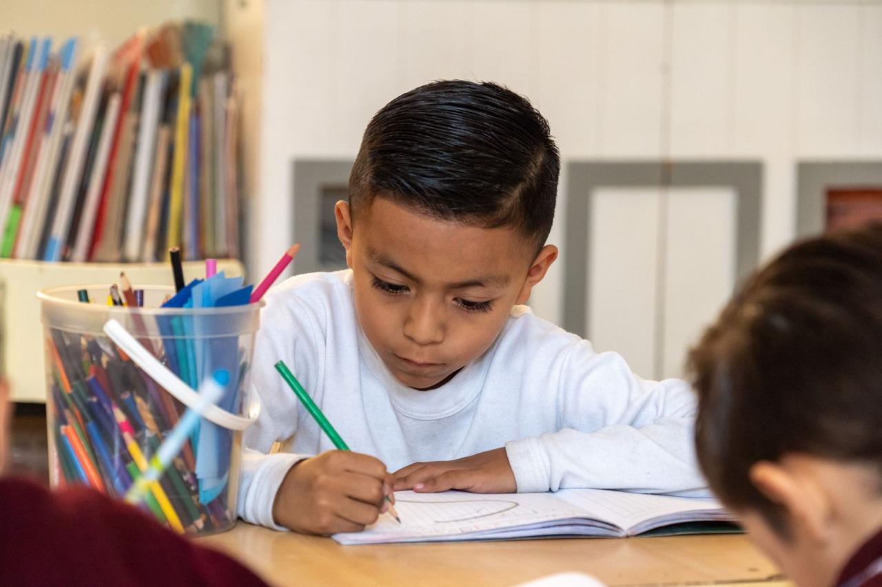 Alumno concentrado en su trabajo